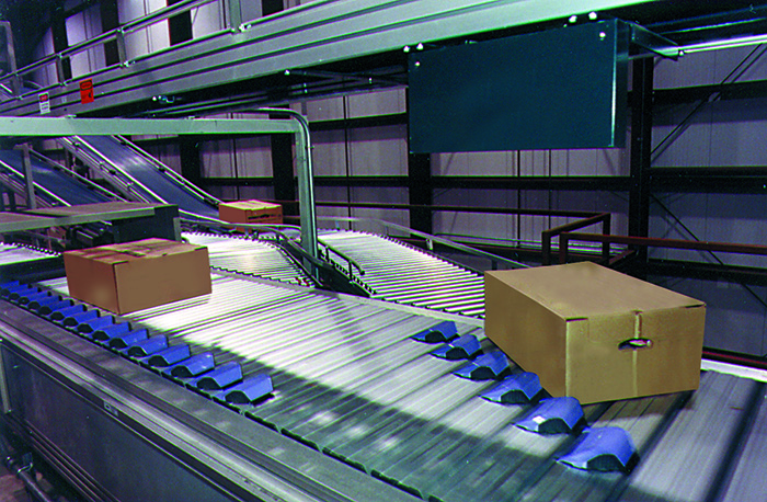 Sortation line for meat processing facility