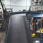 Safety Netting